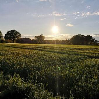 Nordenholzer Hofhotel