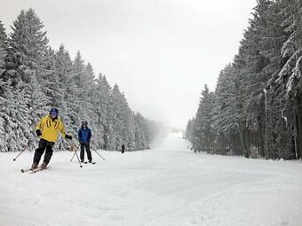 Modern Holiday Home In Eifel With Sauna