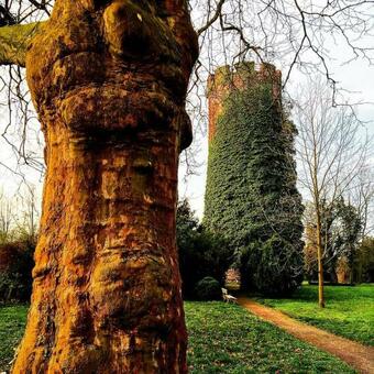 Hostal Veltheimsburg