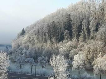 Apartamento Ferienwohnung Gutjahr