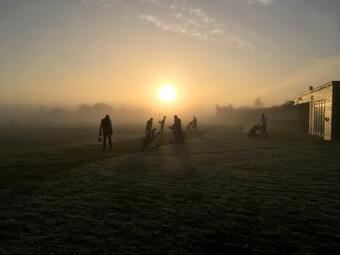 Himmerland Resort Cottages