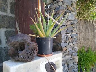 Apartamento Casa Gio