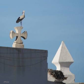 Apartamento Entrecubos Guesthouse