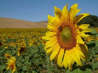 Naveterra-hotel Rural