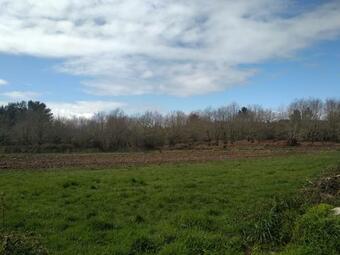 Hostal Pensi�n Casa Antonio