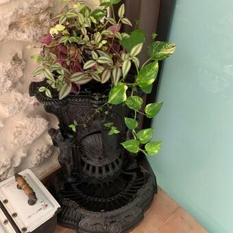 Hotel Molino Grande Del Durat�n