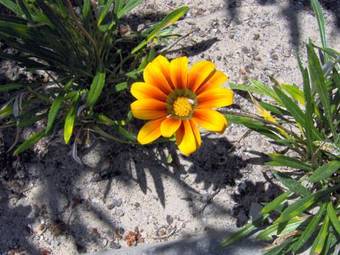 Aldeamento Turistico Casas Da Comporta
