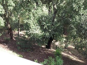 Casa Vale Dos Sobreiros