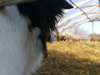 Agroturismo Minnan Majoitus