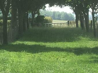 G�te Belle-et-houllefort, 5 Pi�ces, 10 Personnes - Fr-1-376-104