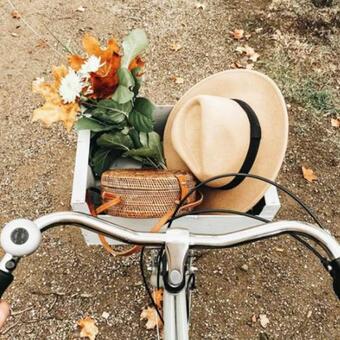 Bed & Breakfast Le Bois Aux Cerfs