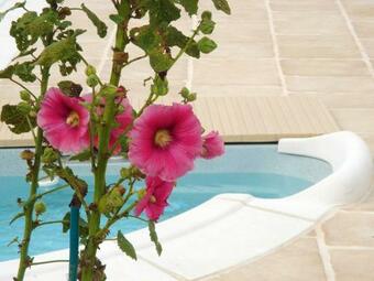 House With One Bedroom In Bussac Foret With Shared Pool And Wifi