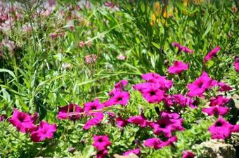 House With 2 Bedrooms In Cebazan With Shared Pool Furnished Terrace And Wifi