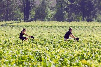 Hotel Les Sources De Cheverny