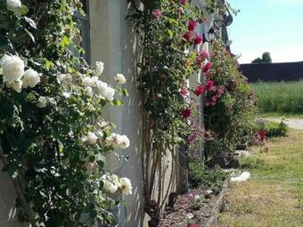 G�te Couddes, 3 Pi�ces, 6 Personnes - Fr-1-491-28