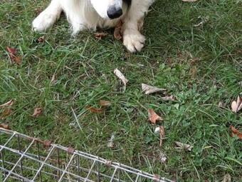 G�te �parcy, 4 Pi�ces, 6 Personnes - Fr-1-532-1