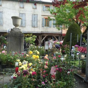 La Bastide Des Roses