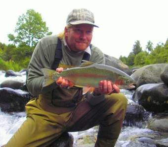 Bed & Breakfast Tui Lodge