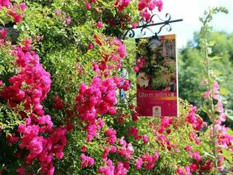 G�te Langres, 2 Pi�ces, 2 Personnes - Fr-1-611-43