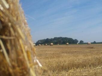 G�te Le Fenouiller, 2 Pi�ces, 3 Personnes - Fr-1-426-277