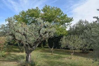 Aux R�ves Des M�es