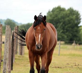 Hostal Chambres D'h�tes De Penelope