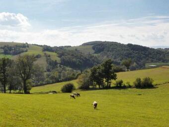 G�te Maringes, 3 Pi�ces, 4 Personnes - Fr-1-496-30