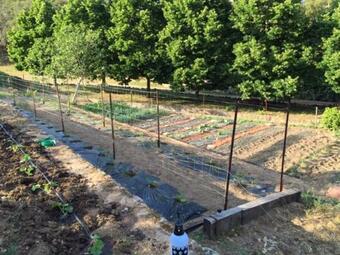 Apartment With 2 Bedrooms In Moltifao With Wonderful Mountain View Furnished Garden And Wifi 20 Km From The Slopes