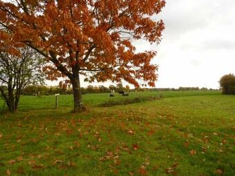 G�te Montreuil-le-henri, 5 Pi�ces, 10 Personnes - Fr-1-410-184