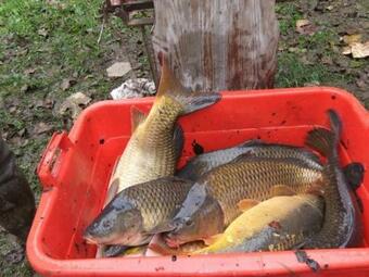 G�te Saint-mars-sur-la-futaie, 3 Pi�ces, 4 Personnes - Fr-1-600-150