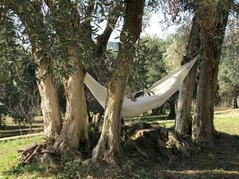 Hostal Maison Chaban Sanary Sur Mer