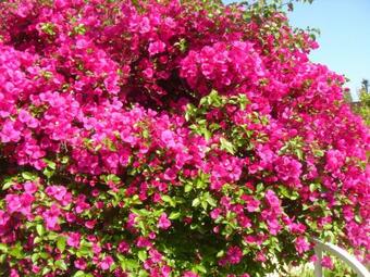 Villa With Private Beach - Villa Lou Cade