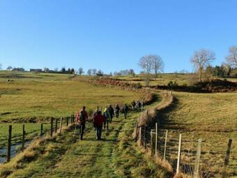 G�te Usson-en-forez, 3 Pi�ces, 4 Personnes - Fr-1-496-163