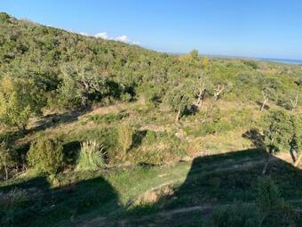 Apartamento La Cigale