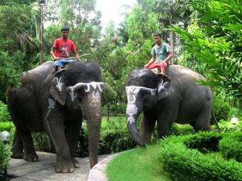 Hotel Jungle Safari Resort P. Ltd.