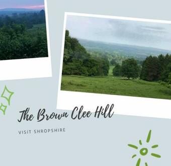 Bed & Breakfast The Boyne Arms