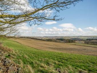 Wagtail Cottage - Uk33096