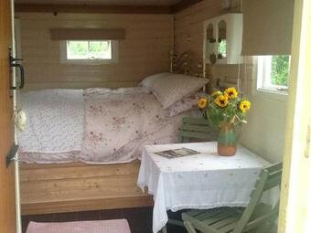 Cornish Cosy Shepherds Hut