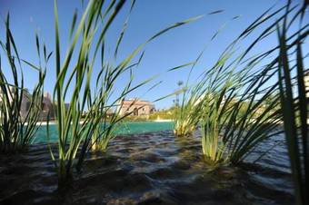 Bed & Breakfast Douar Noujoum