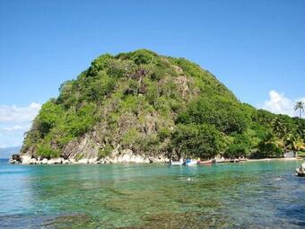 Apartamento Studio In Baie Mahault With Shared Pool Enclosed Garden And Wifi 12 Km From The Beach