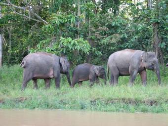 Bilit Adventure Lodge