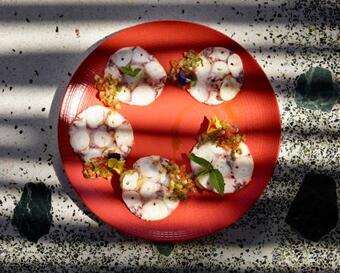 Hotel Cayo Exclusive Resort & Spa