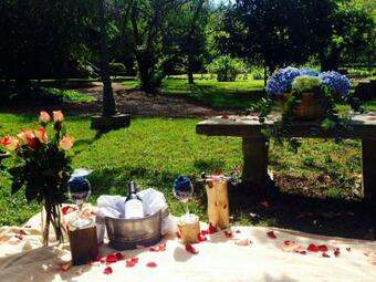 Hotel Y Resort Quinta Del Sol