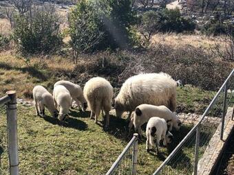 Apartamento The Sunset Horizon - Hare?ina