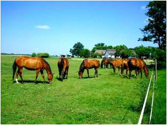 Bed & Breakfast Kuns�gi Major