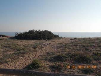 Apartamento Stellasalentina