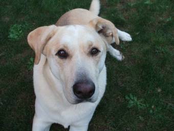 Agroturismo Agriturismo Cascina Colombaro