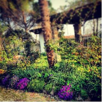 Agroturismo All'antica Scuderia Del Castello