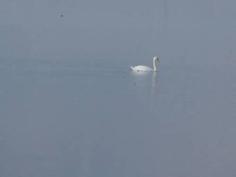 Bed & Breakfast La Luce