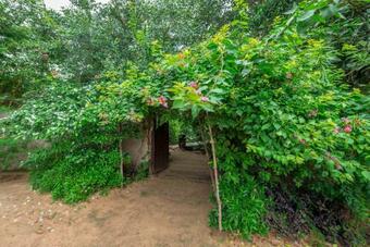 Hotel Beyond Stay Mahua Vann Pench